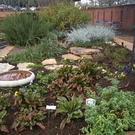 Overview of the Herb Study Garden