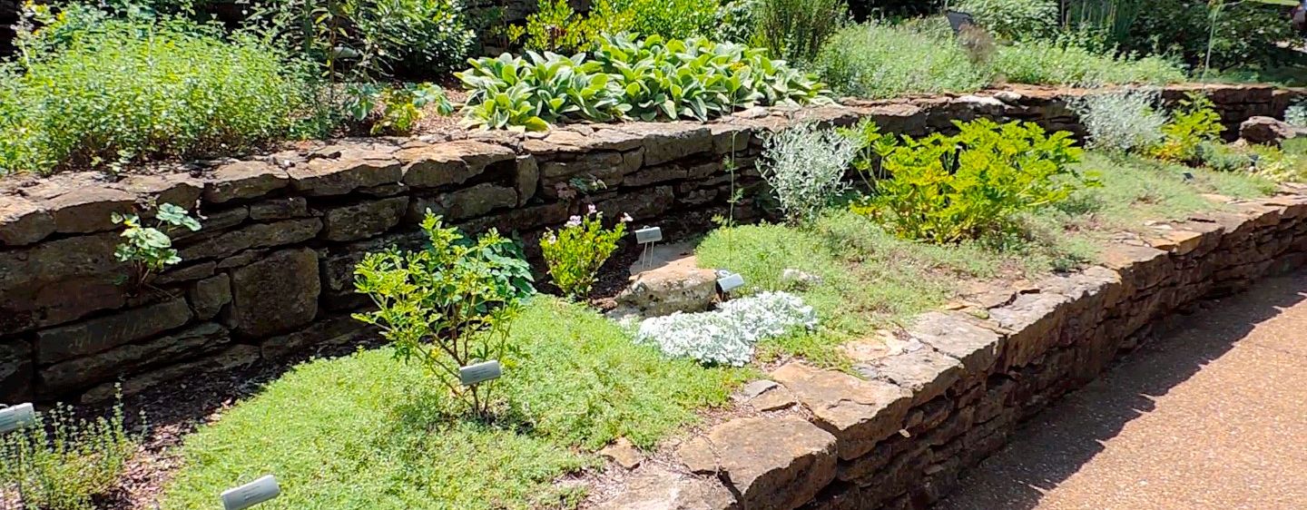 Cheekwood - wall